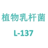 植物乳杆菌L-137