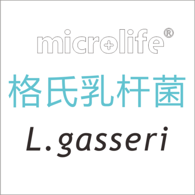 格氏乳杆菌