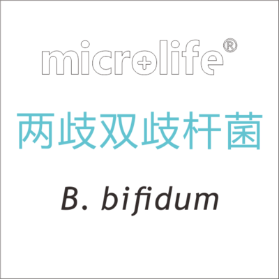 两歧双歧杆菌