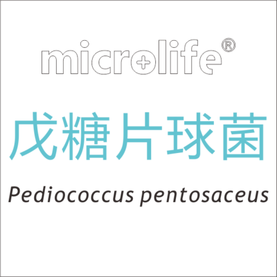 戊糖片球菌