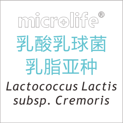 乳酸乳球菌乳脂亚种