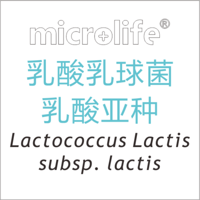 乳酸乳球菌乳酸亚种