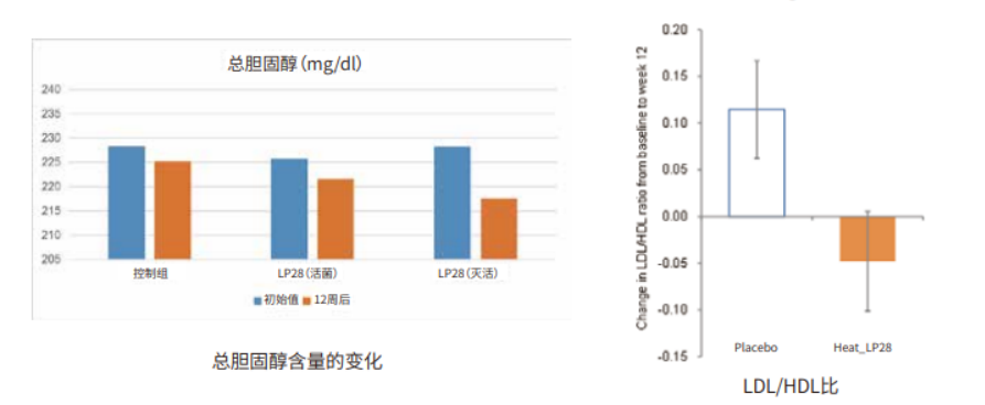 低密度脂蛋白与高密度脂蛋白含量.png