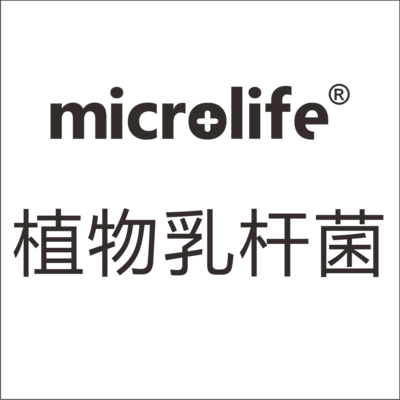 植物乳杆菌