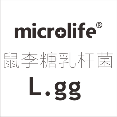 鼠李糖乳杆菌 L.GG