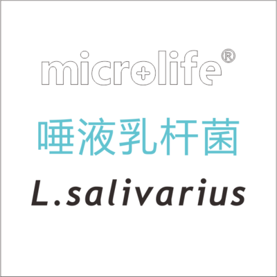 唾液乳杆菌