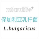 德氏乳杆菌保加利亚亚种